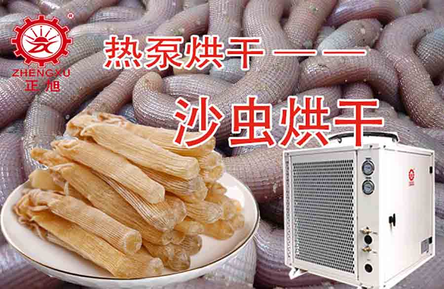 沙蟲(chóng)熱泵烘干機(jī)